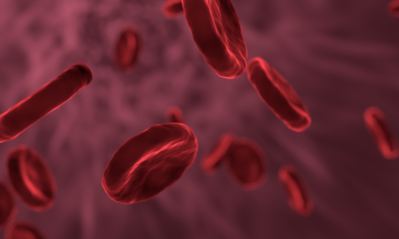 慢性腎臓病(CKD)における抗凝固薬について、新しい見解が発表されました。